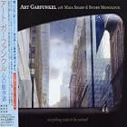 Everything Waits to Be Noticed by Art Garfunkel