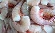 Key West Pink Shrimp, 1 Pound Jumbo