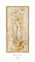 Afternoon Orchids III, Art Poster by Heather Ramsey, size 15" x 26"