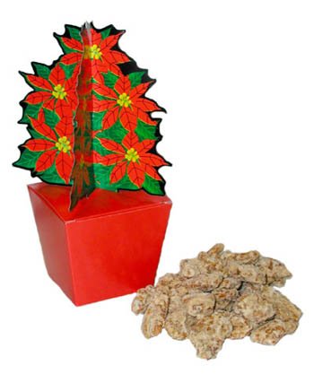 Praline Pecan