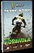 TGO The Formula - The Great Outdoors No Fear DVD Motocross