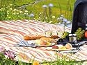 PEARL Aufrollbare Fleece-Picknick-Decke 200 x 175 cm