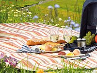 Produkt-Bild: PEARL Aufrollbare Fleece-Picknick-Decke 200 x 175 cm