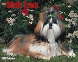Just Shih Tzus 2008 Calendar - Dog Breed 2008 Calendars