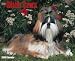 shih tzu - Just Shih Tzus 2008 Calendar - Dog Breed 2008 Calendars