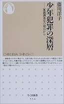 少年犯罪の深層―家裁調査官の視点から (ちくま新書)