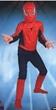 Standard Kids Spiderman Costume
