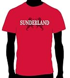 Sunderland FC Essential Logo Soccer Tee, Youth Large - Red