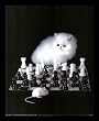 It's A Cat And Mouse Game Kitten Chess Framed Art Poster Print - 16" X 20"