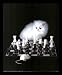 It's A Cat And Mouse Game Kitten Chess Framed Art Poster Print - 16" X 20"