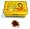 GOLDEN TIN WRAPPED IN CELLOPHANE AND GOLDEN STRING