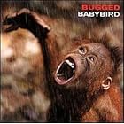Bugged by  BaBird 