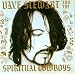 Dave Stewart & Spiritual Cowboys