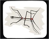 Mouse Pad with bug, walking, insect, stick