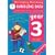 Developing Numeracy: Handling Data Year 3 Activities for the Daily Maths Lesson (Developings)