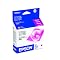 Ink for the Epson R1800