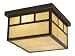 Vaxcel International Lighting Outdoor Ceiling Light