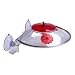 Droll Yankees WH Window Hummingbird Feeder