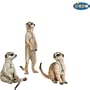 Display Box - 3 Meerkats