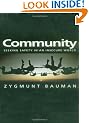 Community: Seeking Safety in an Insecure World (Themes for the 21st Century Series)