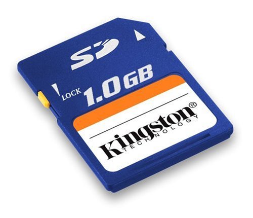 Kingston 1 GB Secure Digital Flash Card ( SD/1GB ) (Retail Package)