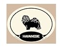 Foyo KE118C Havanese Key Candy