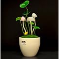 LED, Jeu de lumi�re, veilleuse de champignon, lumi�re dodo, veilleuse d�corative, lampe de table, ELL11-W