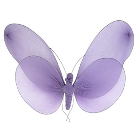 Butterfly Canopy