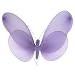 Butterfly Canopy