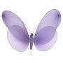 Butterfly Canopy