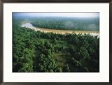 Borneo