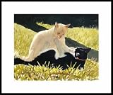 Afternoon Romp Framed Artist s Proof by Drew Strouble
