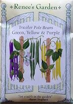 Bean Tricolor Pole Seeds 65 Seeds