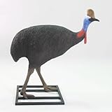 ＦＲＰ動物オブジェ　ヒクイドリ雄(オス) / Cassowary Male