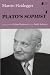 Book Plato's Sophist (Studies in Continental Thought)