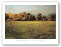 Field With Treeline by Robert Striffolino 36"x26" Art Print Poster