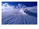 Skier Descending in Powder Snow, St. Anton Am Arlberg, Vorarlberg, Austria, Skiing Photographic Poster Print by Christian Aslund, 24x18
