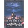 Ninja In The Dragon's Den [1982]