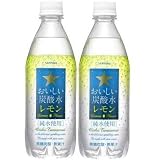 サッポロ　おいしい炭酸水【レモン】　500ml　24本ｘ2ケース　（48本）