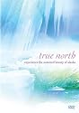 True North: Experience the Untamed Beauty of Alaska [DVD] [1992] [Region 1] [US Import] [NTSC]