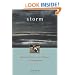 Storm: A Motorcycle Journey of Love, Endurance, and Transformation (Travelers' Tales Footsteps)