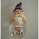 LSU Tigers