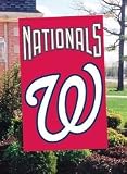 Washington Nationals Banner Flag