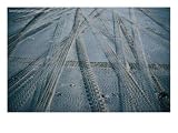 4Wd Tracks on Sand, Fraser Island, Queensland, Australia Photographic Poster Print by Tony Wheeler, 40x30