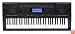 Casio CTK5000 Portable Electronic Keyboard