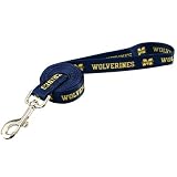 Michigan Wolverines Navy 6' Leash
