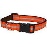Sassy Dog Wear 18-28-Inch Reflective Orange Dog Collar, Large
