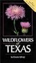 Wildflowers of Texas