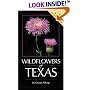 Wildflowers of Texas
