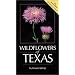 Wildflowers of Texas